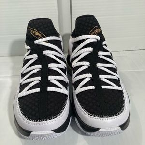 Lebron 17 Low’s